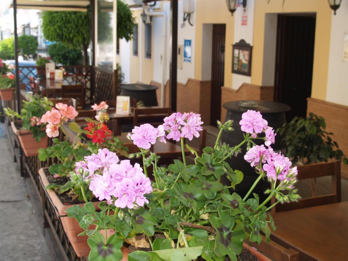Caico'S Hotel Prado Del Rey Exterior photo